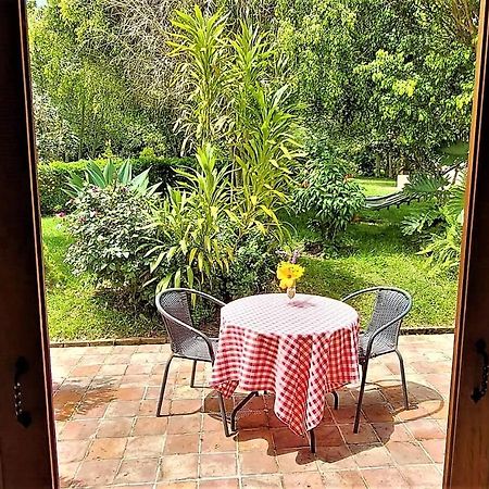Bed and Breakfast Hacienda El Pinar Del Viento Вилья-де-Лейва Экстерьер фото