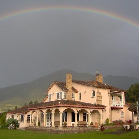 Bed and Breakfast Hacienda El Pinar Del Viento Вилья-де-Лейва Экстерьер фото